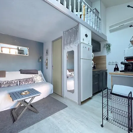 Maison Avec Piscine Clim Parking 度假居 *