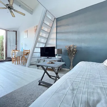 Maison Avec Piscine Clim Parking 度假居 *